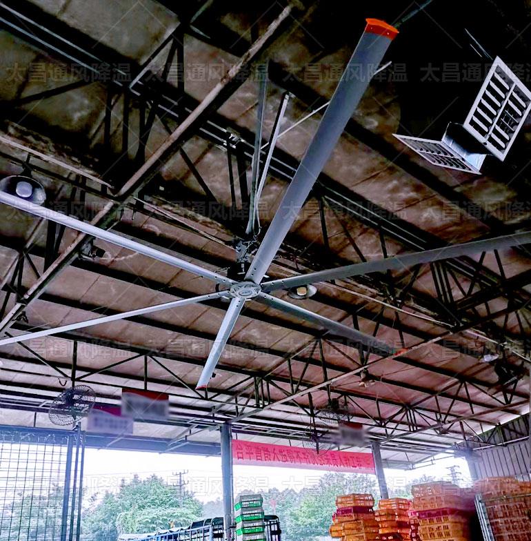 工業(yè)大風(fēng)扇有幾種，看完這些你就知道了