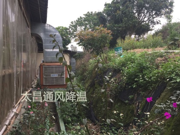 天氣太熱?環(huán)?？照{為你的餐廳守護清涼